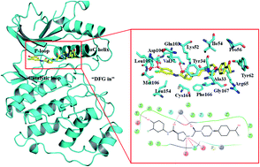 Graphical abstract: Importance of protein flexibility in ranking ERK2 Type I1/2 inhibitor affinities: a computational study