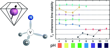 Graphical abstract: Monitoring spin coherence of single nitrogen-vacancy centers in nanodiamonds during pH changes in aqueous buffer solutions