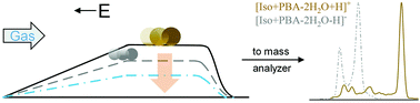 Graphical abstract: A TIMS-TOF mass spectrometry study of disaccharides from in situ ESI derivatization with 3-pyridinylboronate