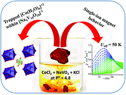 Graphical abstract: A trapped hexaaqua CoII complex between the polyanionic sheets of decavanadate reveals high axial anisotropy and field induced SIM behaviour