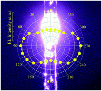 Graphical abstract: An electrically driven single microribbon based near-infrared exciton–polariton light-emitting diode