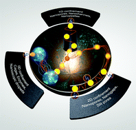 Graphical abstract: Electrochemistry under confinement