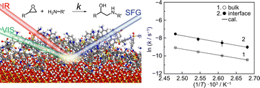 Graphical abstract: Kinetics of the interfacial curing reaction for an epoxy–amine mixture