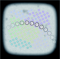 Graphical abstract: Maintaining the momentum in cryoEM for biological discovery
