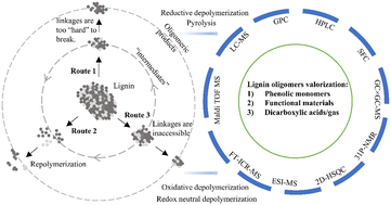 Graphical abstract: Perspective on oligomeric products from lignin depolymerization: their generation, identification, and further valorization