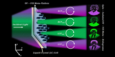 Graphical abstract: Spin-isolated ultraviolet-visible dynamic meta-holographic displays with liquid crystal modulators