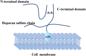 Graphical abstract: Current methods for the detection of glypican-3