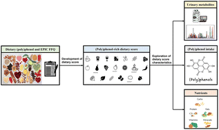 Graphical abstract: Development of a novel (poly)phenol-rich diet score and its association with urinary (poly)phenol metabolites