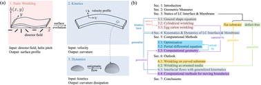 Graphical abstract: Geometry-structure models for liquid crystal interfaces, drops and membranes: wrinkling, shape selection and dissipative shape evolution