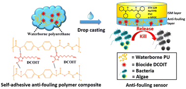 Graphical abstract: Facile fabrication of anti-fouling polymeric membrane potentiometric ion sensors based on a biocide 4,5-dichloro-2-n-octyl-4-isothiazolin-3-one-containing self-adhesive waterborne polyurethane coating