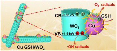 Graphical abstract: Self-assembly of Cu-glutathione nanoparticles on WO3 nanorods: amelioration of charge transfer and photocatalytic performance