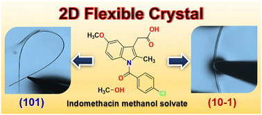 Graphical abstract: Structural basis for a two-dimensional flexible pharmaceutical solvate crystal: indomethacin methanol