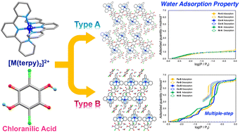 Graphical abstract: Structural analysis and water adsorption properties of chloranilate anion–terpyridine metal complexes forming hydrogen-bonded frameworks