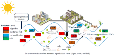 Graphical abstract: Pollution characteristics and risk assessment of endocrine-disrupting chemicals in surface water of national (freshwater) aquatic germplasm resource reserves in Guangdong Province