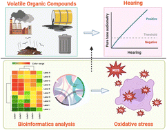 Graphical abstract: Association of volatile organic compound metabolites with hearing loss: unveiling their potential mechanism and intervention target