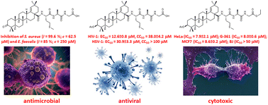 Graphical abstract: Amides of moronic acid and morolic acid with the tripeptides MAG and GAM targeting antimicrobial, antiviral and cytotoxic effects