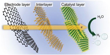 Graphical abstract: Two-dimensional materials as catalysts, interfaces, and electrodes for an efficient hydrogen evolution reaction