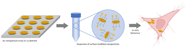 Graphical abstract: Fabrication of nanoparticles with precisely controllable plasmonic properties as tools for biomedical applications