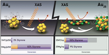 Graphical abstract: Synergistic effect of ligand–cluster structure and support in gold nanocluster catalysts for selective hydrogenation of alkynes