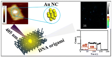 Graphical abstract: DNA origami-templated individual gold nanoclusters: probing their photophysical dynamics using single-molecule fluorescence spectroscopy