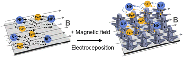 Graphical abstract: Lorentz force-assisted growth of romanesco-like Ni–Fe nano-cone arrays for enhanced oxygen evolution reaction at high current densities