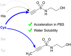 Graphical abstract: Preparation of ethynylsulfonamides and study of their reactivity with nucleophilic amino acids