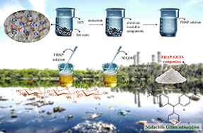Graphical abstract: Ultrasound-assisted formation of composite materials from fish scale waste hydroxyapatite in the presence of gamma-irradiated chitosan for the removal of malachite green