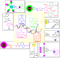 Graphical abstract: Applications of catalytic systems containing DNA nucleobases (adenine, cytosine, guanine, and thymine) in organic reactions
