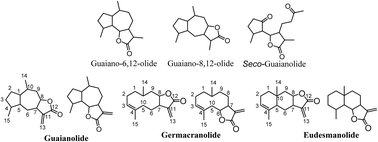 Graphical abstract: Exploring sesquiterpene lactones: structural diversity and antiviral therapeutic insights