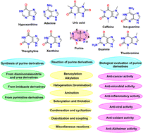 Graphical abstract: Recent advances in the synthesis, reaction, and bio-evaluation potential of purines as precursor pharmacophores in chemical reactions: a review