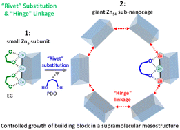 Graphical abstract: Evolution from [Zn9] to a record-high [Zn54] subblock and engineering a hierarchical supramolecular framework for enhanced iodine uptake