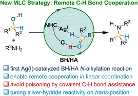 Graphical abstract: Remote C–H bond cooperation strategy enabled silver catalyzed borrowing hydrogen reactions