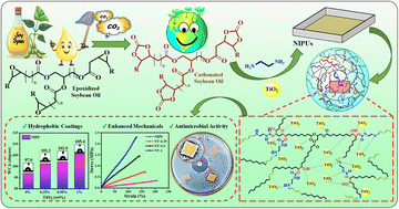 Graphical abstract: Soybean oil-derived, non-isocyanate polyurethane–TiO2 nanocomposites with enhanced thermal, mechanical, hydrophobic and antimicrobial properties