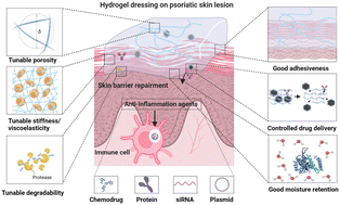 Graphical abstract: Hydrogels: a promising therapeutic platform for inflammatory skin diseases treatment