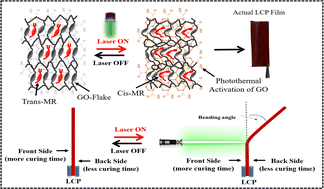Graphical abstract: Reversible photomechanical actuators with liquid crystal polymer graphene oxide nanocomposites
