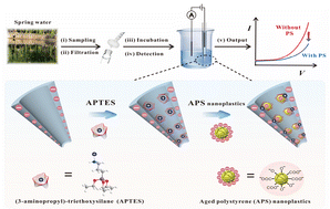 Graphical abstract: Borosilicate glass nanopipettes enhanced by synergistic electrostatic interactions and steric hindrance for ultrasensitive electrochemical detection of nanoplastics in environmental water samples