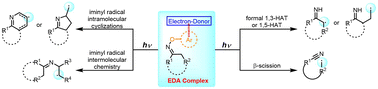 Graphical abstract: Photoinduced transformations of oxime derivatives via electron donor–acceptor complex activation
