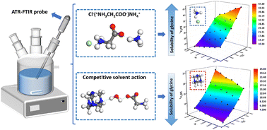 Graphical abstract: Solubility of polymorphic glycine in mixed solutions with molecular dynamics simulation and thermodynamic analysis