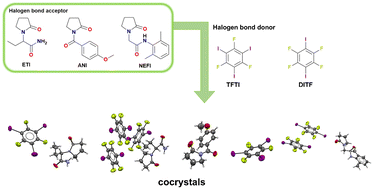 Graphical abstract: Halogen-bonded cocrystallization of racetam pharmaceuticals and perfluorinated iodobenzenes