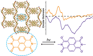Graphical abstract: Photoswitching chiroptical response in camphorate-based chiral metal–organic frameworks