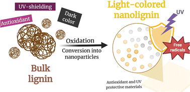 Graphical abstract: From dark to light: light-coloured lignin for cultural heritage conservation