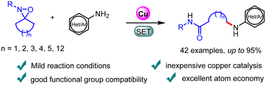 Graphical abstract: Copper-catalyzed amidoalkylation of amines via C–C bond cleavage from cyclic oxaziridines