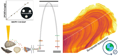 Graphical abstract: LA-ICP-TOF-MS for quantitative mapping of biogenic carbonate samples using matrix-matched nanoparticulate pressed powder pellets
