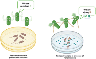 Graphical abstract: A one health nanotechnology approach to address antimicrobial resistance: state-of-the-art and strategic outlook