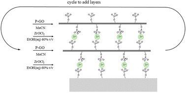 Graphical abstract: Layer-by-layer growth of graphene oxide multilayers using robust interlayer linking chemistry. 1. Zr-bisphosphates