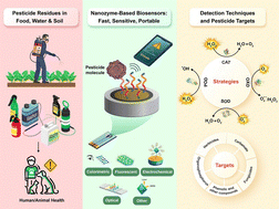 Graphical abstract: Application of nanozyme-based biosensors in pesticide residue detection: a review