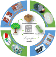 Graphical abstract: Sustainable photoluminescent cellulose composites for next-generation intelligent packaging