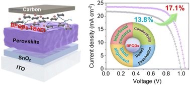 Graphical abstract: Interface engineering via pre-engineered black phosphorus quantum dots for highly efficient carbon-based hole-transport-layer-free perovskite solar cells