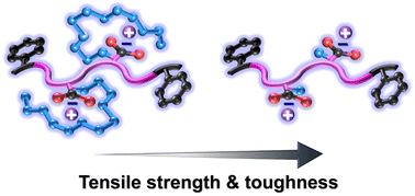 Graphical abstract: Effect of alkyl side chain length on microscopic structures and mechanical properties of ionically-functionalized block polymer-based thermoplastic elastomers