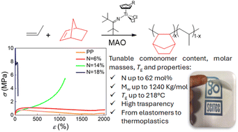 Graphical abstract: Poly(propene-co-norbornene)s with high molar masses and tunable norbornene contents and properties, obtained in high yields using ketimide-modified half-titanocene catalysts